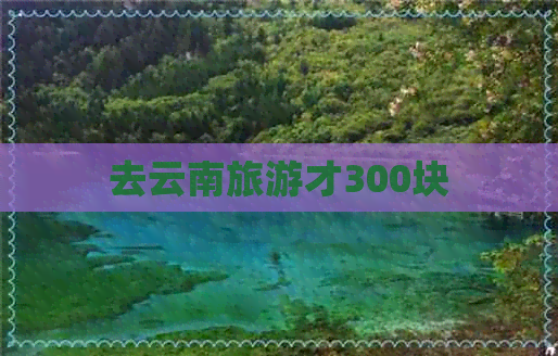 去云南旅游才300块