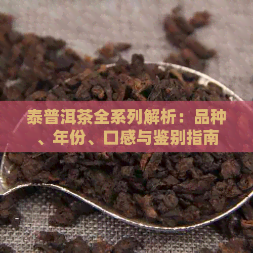 泰普洱茶全系列解析：品种、年份、口感与鉴别指南