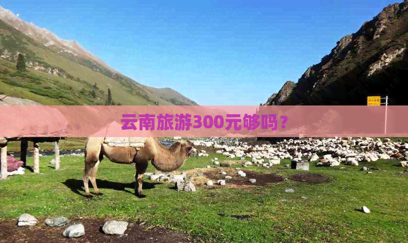 云南旅游300元够吗？