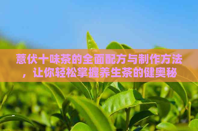 薏伏十味茶的全面配方与制作方法，让你轻松掌握养生茶的健奥秘