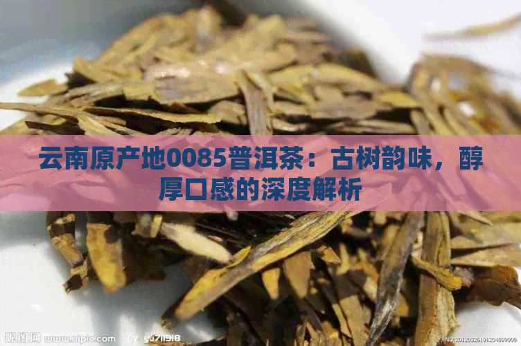 云南原产地0085普洱茶：古树韵味，醇厚口感的深度解析