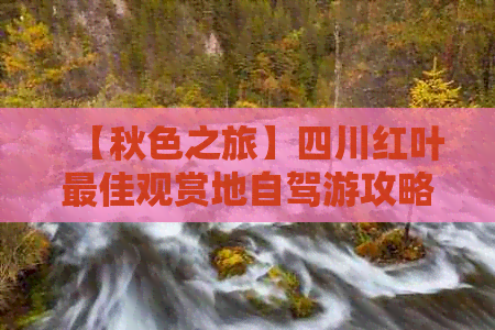 【秋色之旅】四川红叶更佳观赏地自驾游攻略