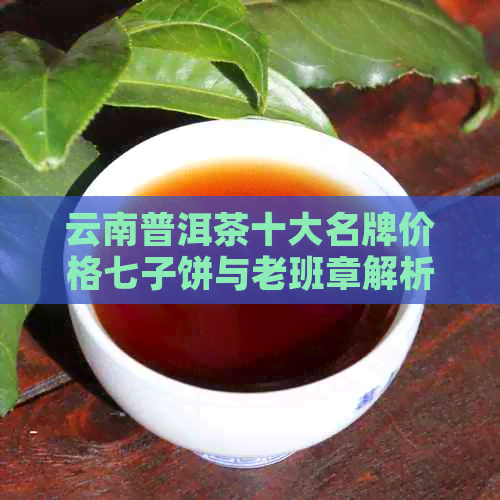 云南普洱茶十大名牌价格七子饼与老班章解析