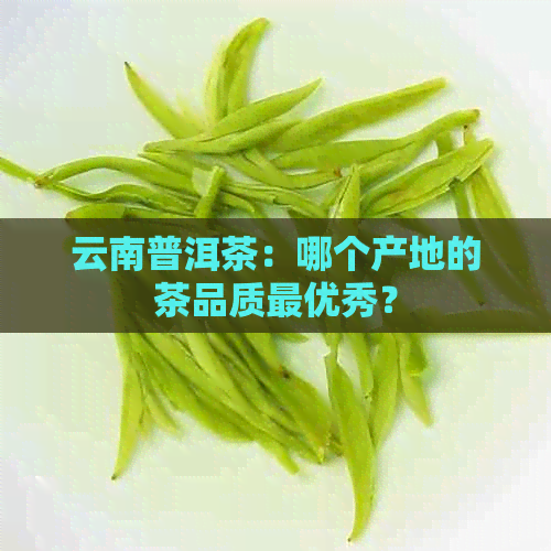 云南普洱茶：哪个产地的茶品质更优秀？