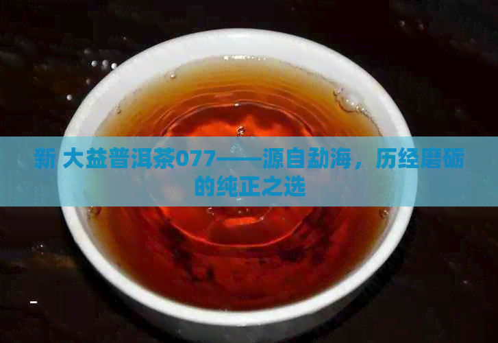 新 大益普洱茶077——源自勐海，历经磨砺的纯正之选