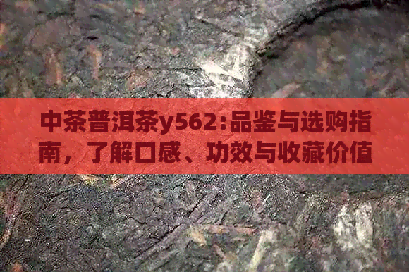 中茶普洱茶y562:品鉴与选购指南，了解口感、功效与收藏价值