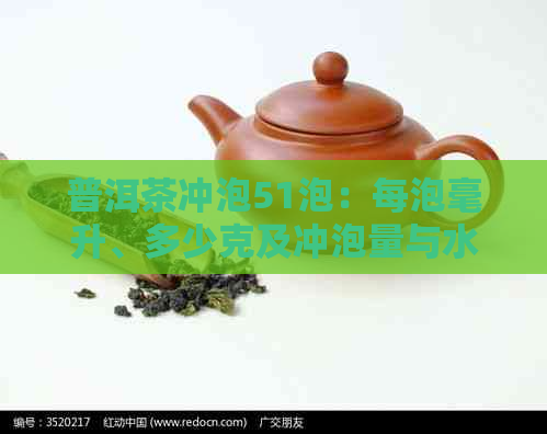 普洱茶冲泡51泡：每泡毫升、多少克及冲泡量与水量分析