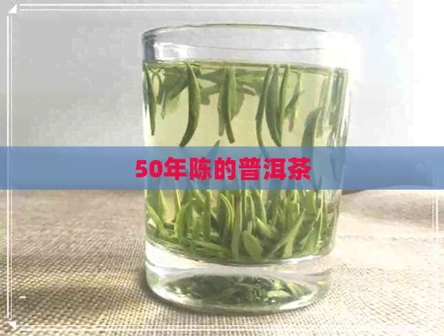 50年陈的普洱茶