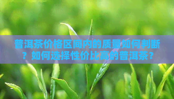 普洱茶价格区间内的质量如何判断？如何选择性价比高的普洱茶？