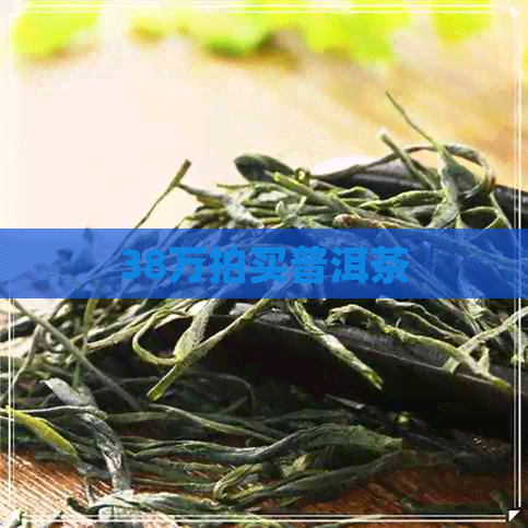 38万拍买普洱茶