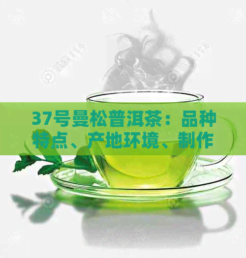 37号曼松普洱茶：品种特点、产地环境、制作工艺及品鉴方法全面解析