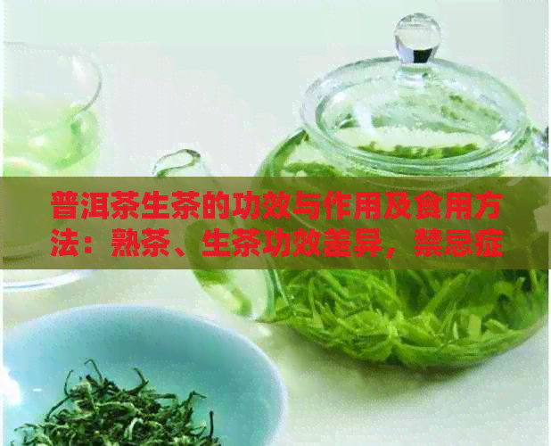 普洱茶生茶的功效与作用及食用方法：熟茶、生茶功效差异，禁忌症需注意。