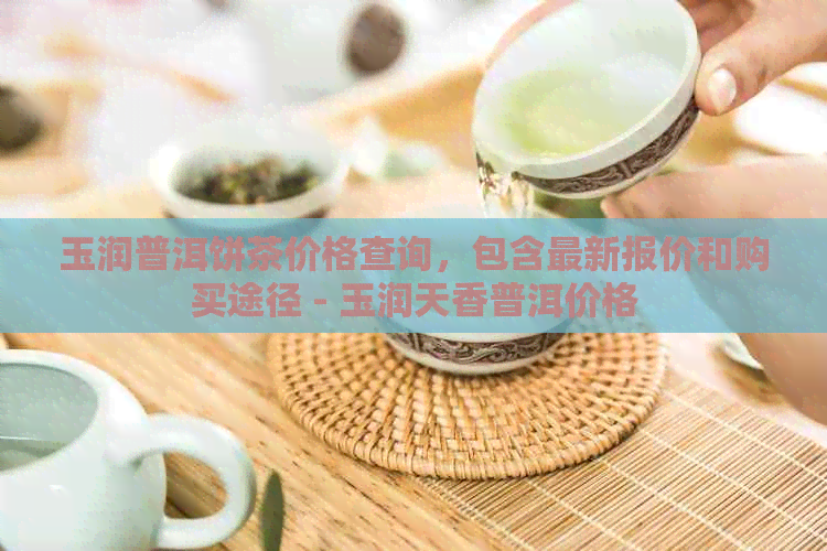 玉润普洱饼茶价格查询，包含最新报价和购买途径 - 玉润天香普洱价格