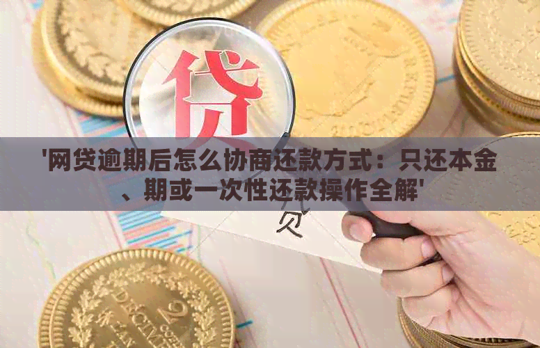 '网贷逾期后怎么协商还款方式：只还本金、期或一次性还款操作全解'