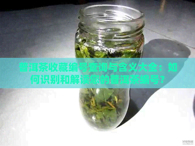 普洱茶收藏编号查询与含义大全：如何识别和解读您的普洱茶编号？