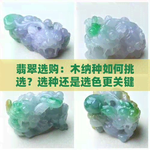 翡翠选购：木纳种如何挑选？选种还是选色更关键？