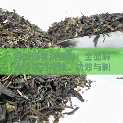 普洱茶春秋拼配：全面解读茶叶的风味、功效与制作工艺，为您精选优质茶叶