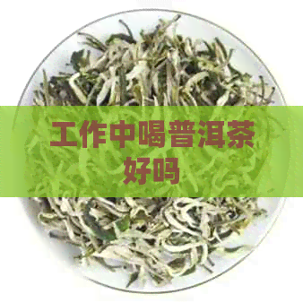 工作中喝普洱茶好吗