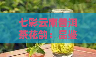 七彩云南普洱茶花韵：品鉴、选购、保存与欣的全面指南