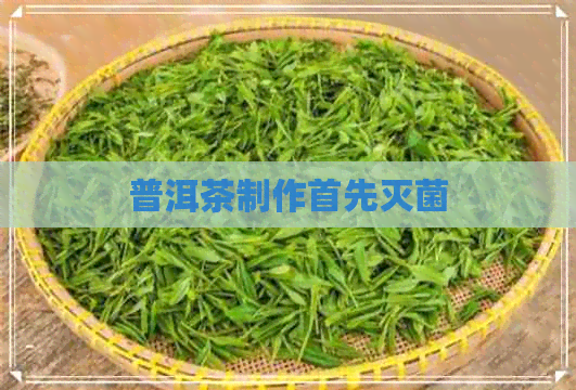 普洱茶制作首先灭菌