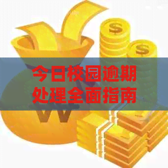 今日校园逾期处理全面指南：如何应对、后果及解决方案一文解析