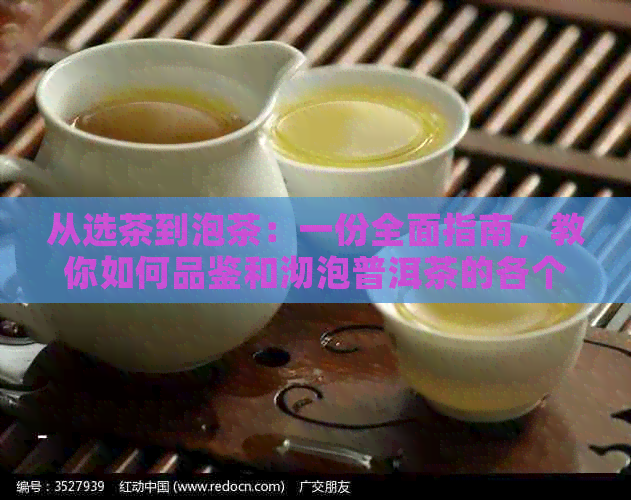 从选茶到泡茶：一份全面指南，教你如何品鉴和沏泡普洱茶的各个步骤