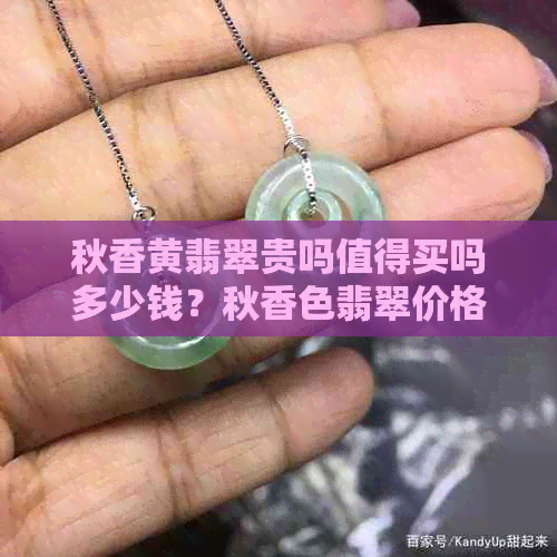 秋香黄翡翠贵吗值得买吗多少钱？秋香色翡翠价格如何？