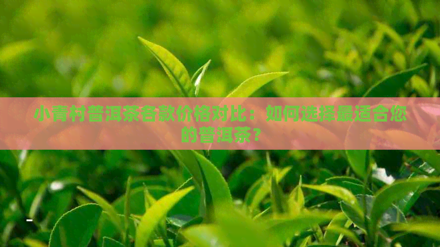 小青村普洱茶各款价格对比：如何选择最适合您的普洱茶？