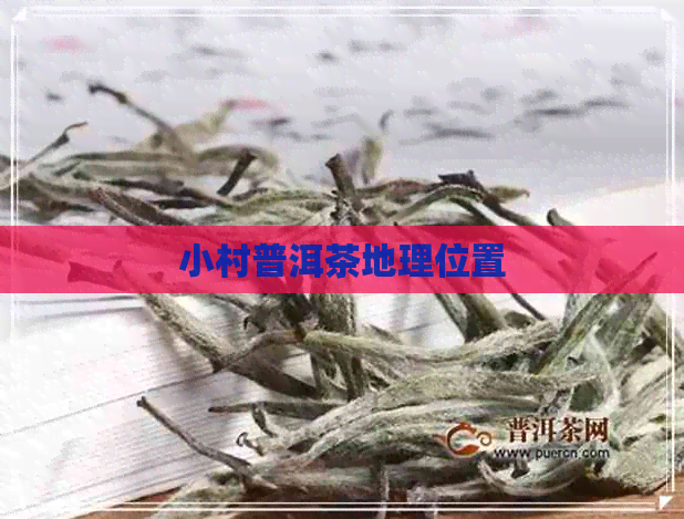 小村普洱茶地理位置