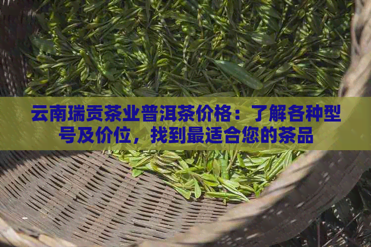 云南瑞贡茶业普洱茶价格：了解各种型号及价位，找到最适合您的茶品