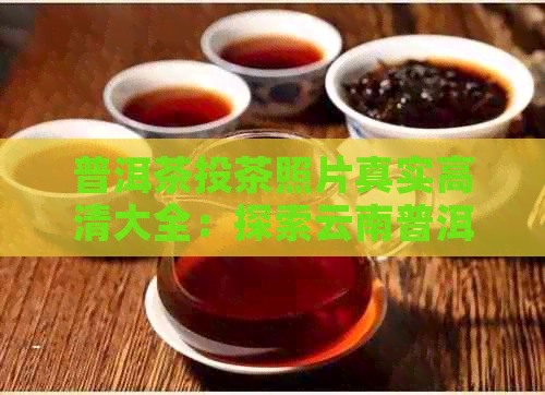 普洱茶投茶照片真实高清大全：探索云南普洱茶文化，欣高清投茶过程。