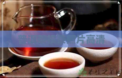 普洱茶投茶照片高清