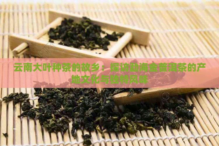 云南大叶种茶的故乡：探访勐海金普洱茶的产地文化与独特风味