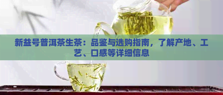 新益号普洱茶生茶：品鉴与选购指南，了解产地、工艺、口感等详细信息