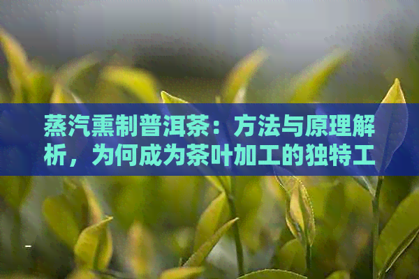 蒸汽熏制普洱茶：方法与原理解析，为何成为茶叶加工的独特工艺？