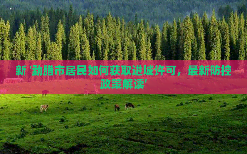 新 '勐腊市居民如何获取进城许可，最新政策解读'