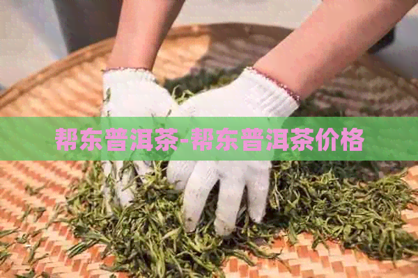 帮东普洱茶-帮东普洱茶价格