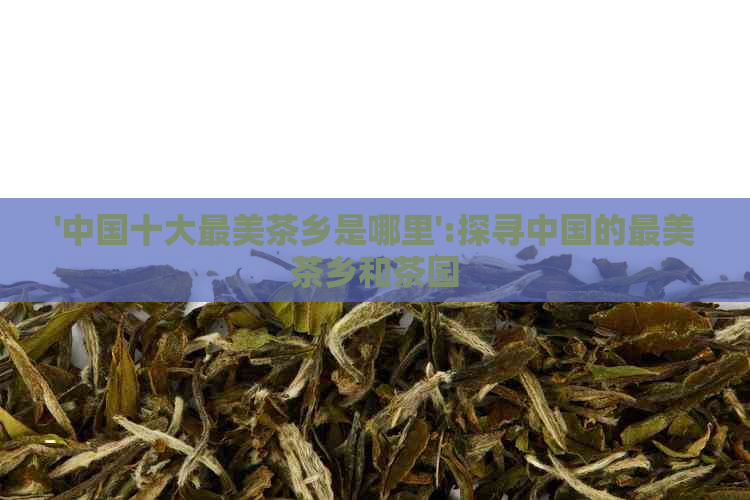 '中国十大最美茶乡是哪里':探寻中国的最美茶乡和茶园