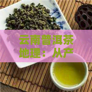 云南普洱茶地理：从产地到品种，探索云南普洱茶的魅力与特点