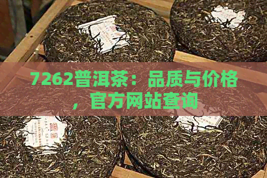 7262普洱茶：品质与价格，官方网站查询