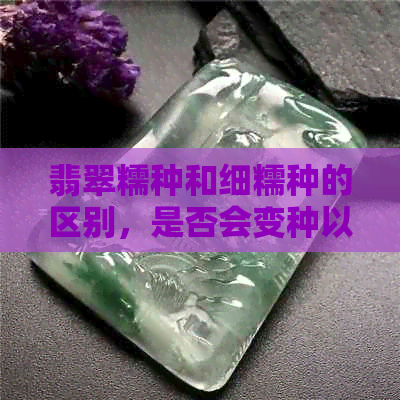 翡翠糯种和细糯种的区别，是否会变种以及细糯种翡翠的含义