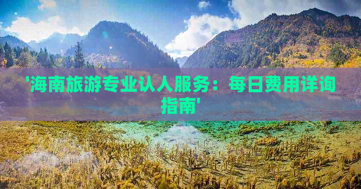 '海南旅游专业认人服务：每日费用详询指南'