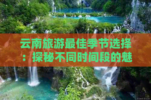 云南旅游更佳季节选择：探秘不同时间段的魅力与特色