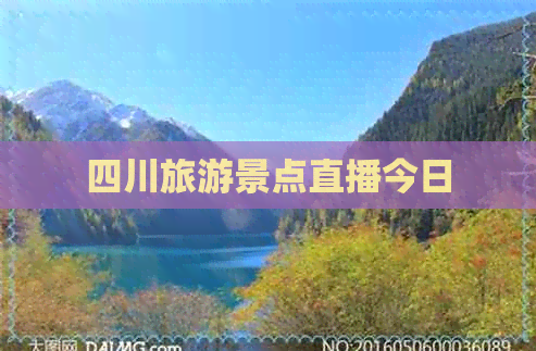 四川旅游景点直播今日