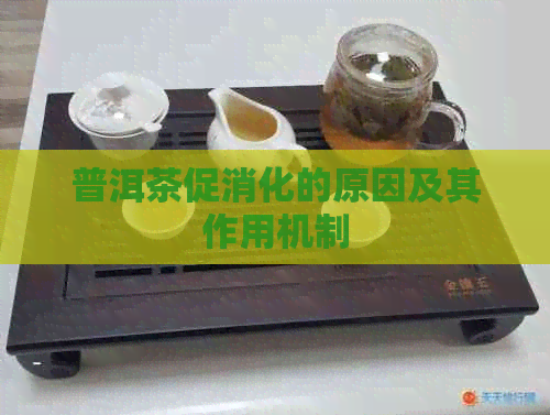 普洱茶促消化的原因及其作用机制