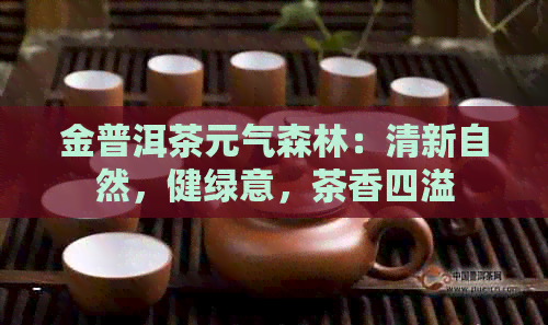 金普洱茶元气森林：清新自然，健绿意，茶香四溢