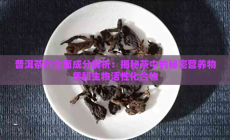 普洱茶的全面成分解析：揭秘茶中的秘密营养物质和生物活性化合物