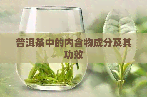 普洱茶中的内含物成分及其功效