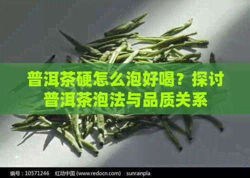 普洱茶硬怎么泡好喝？探讨普洱茶泡法与品质关系