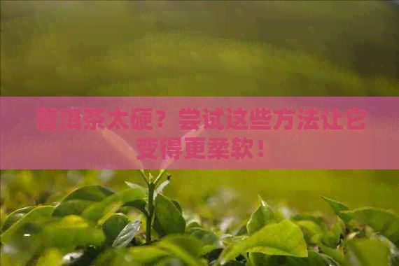 普洱茶太硬？尝试这些方法让它变得更柔软！